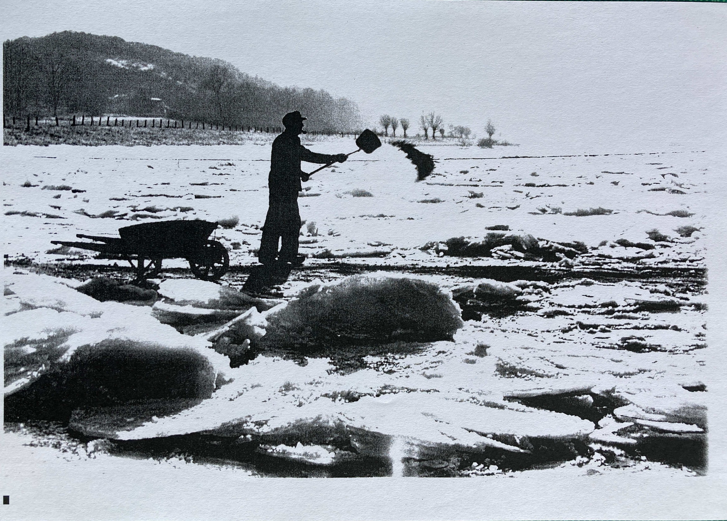Fährmann auf der Weser, 1954