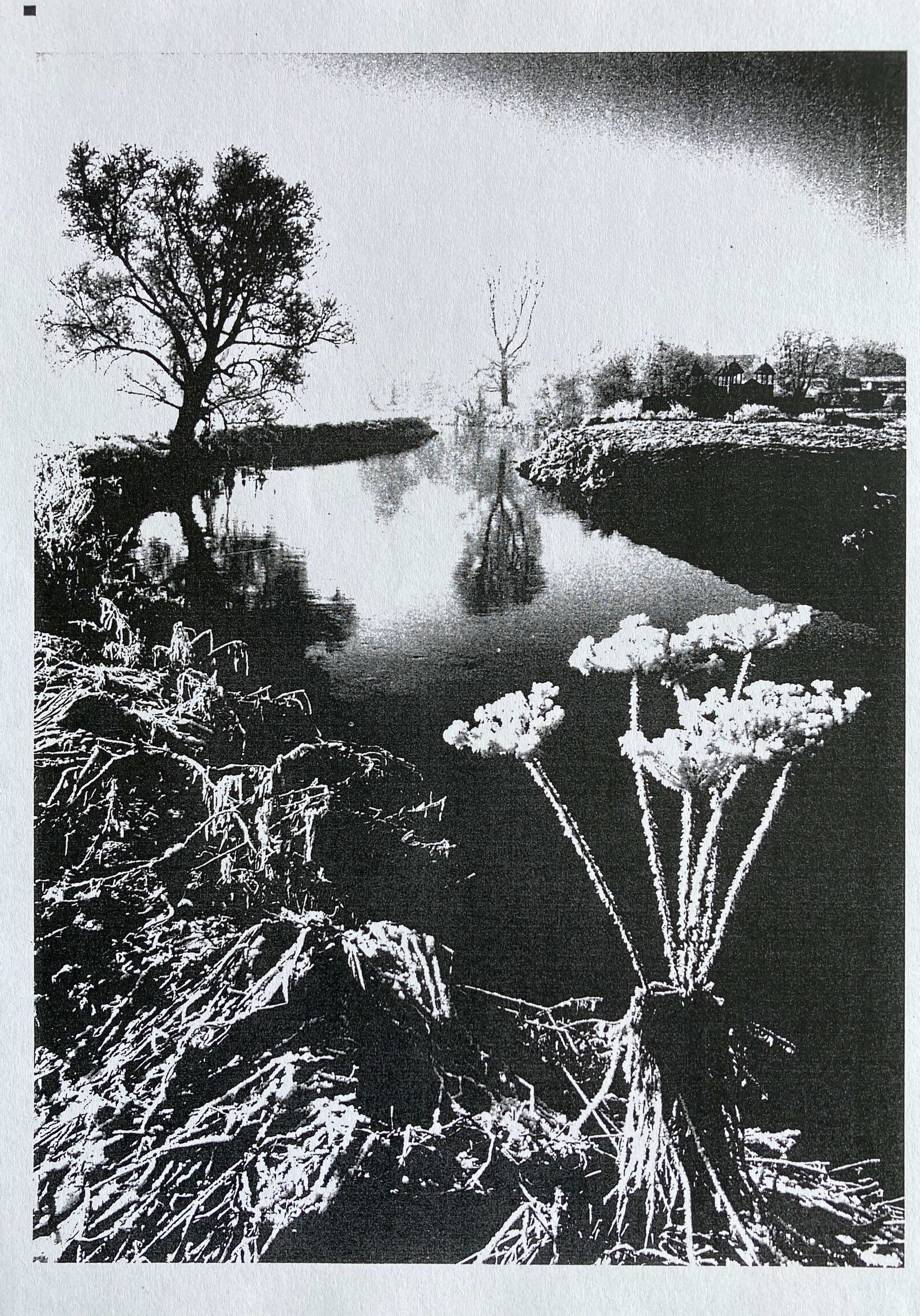 Rauhreif in Schweicheln, 1982