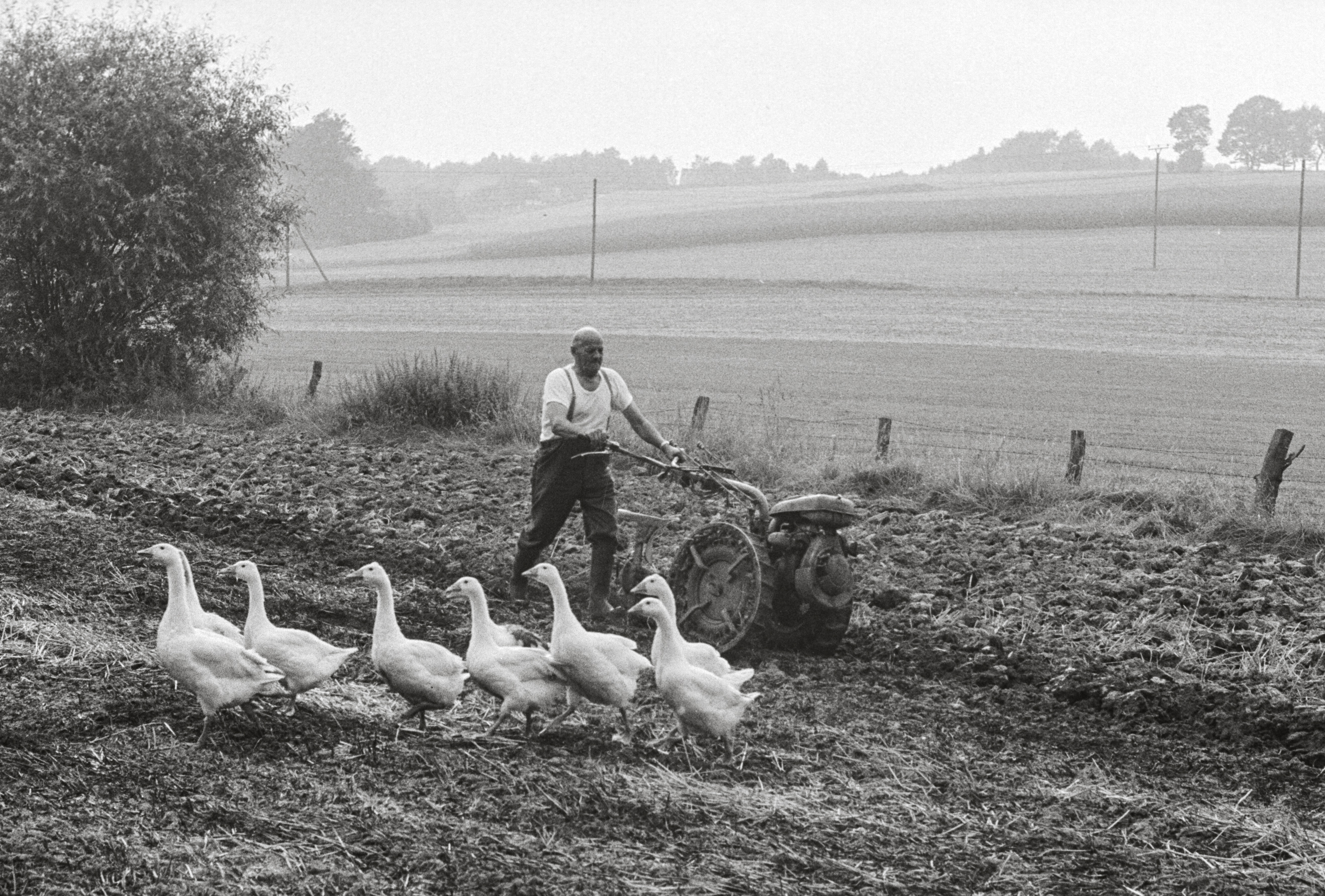 Bauer pflügt ein Feld in der Nähe von Herford, 1981